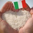 RISICOLTURA ITALIANA ED EUROPEA: IL PUNTO DELLA RICERCA SULLA SUA EVOLUZIONE