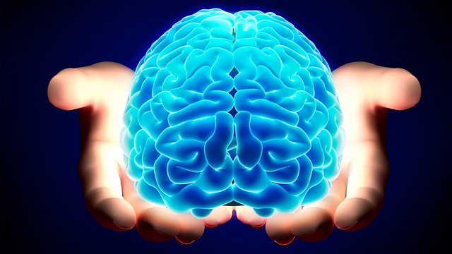 Gli effetti dell’Anemia e della carenza di Ferro sul nostro Cervello
